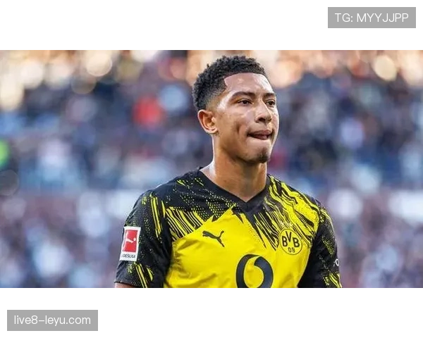 德甲转会窗口开启，豪门球队动作频频，球员流动成焦点