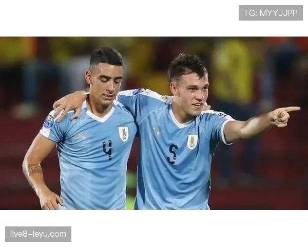 南美足球攻防博弈新观察：球队战术演变与赛事观赏性双提升