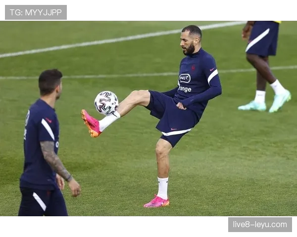 欧洲杯安保全面升级，赛事安全获高度评价