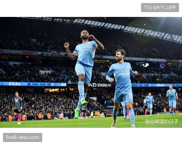 阿卜杜拉耶·杜库雷英超赛季表现稳定，助力球队冲击更高目标