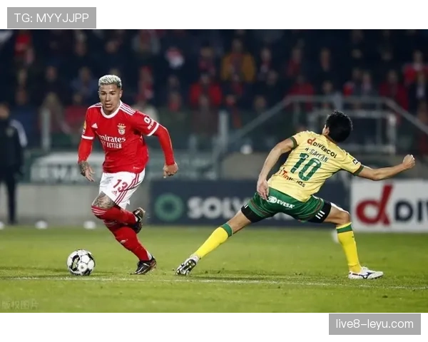 恩佐 vs 布鲁诺·费尔南德斯：中场组织与进攻参与度对比